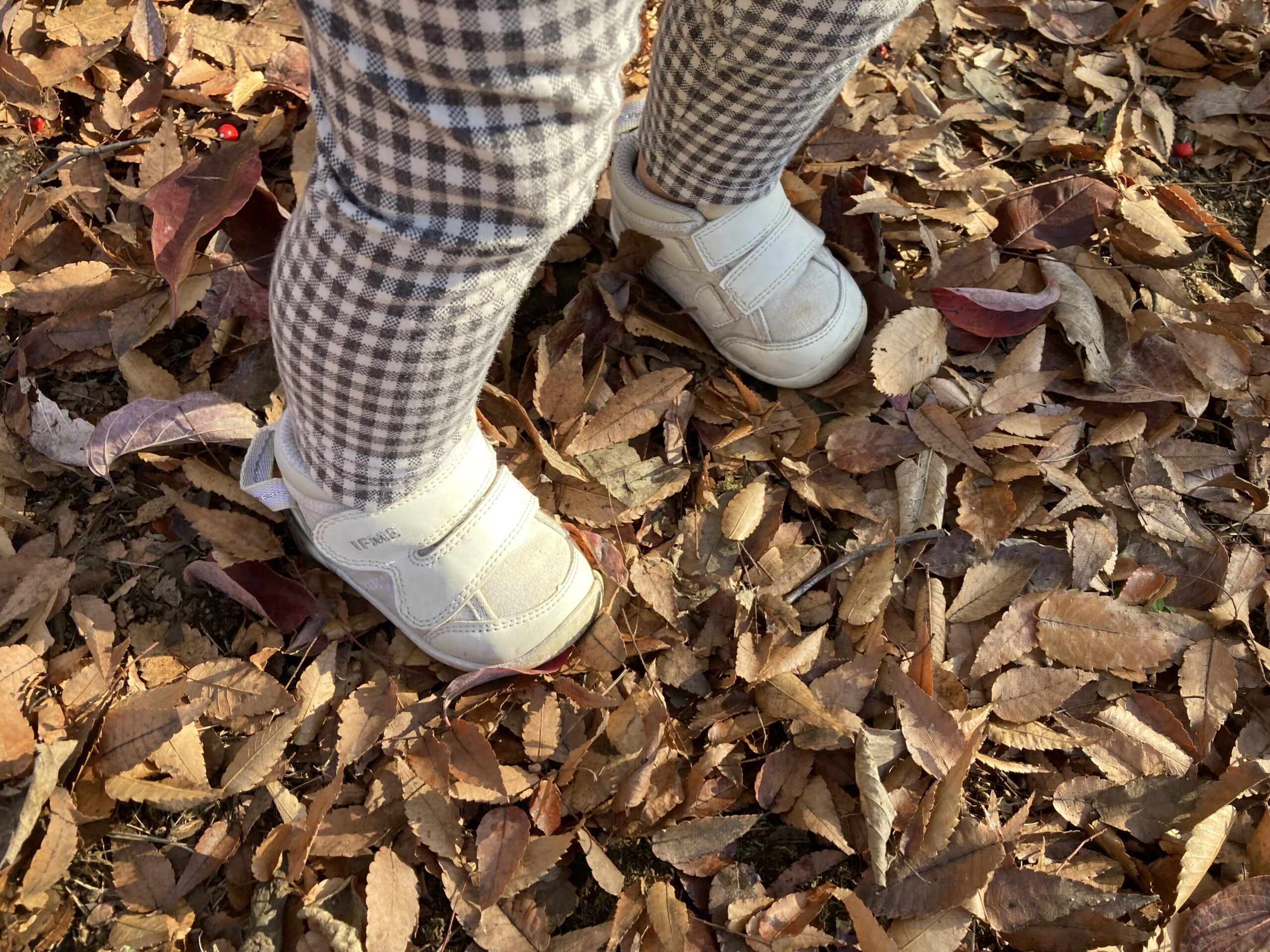 落ち葉の上を歩く2歳児