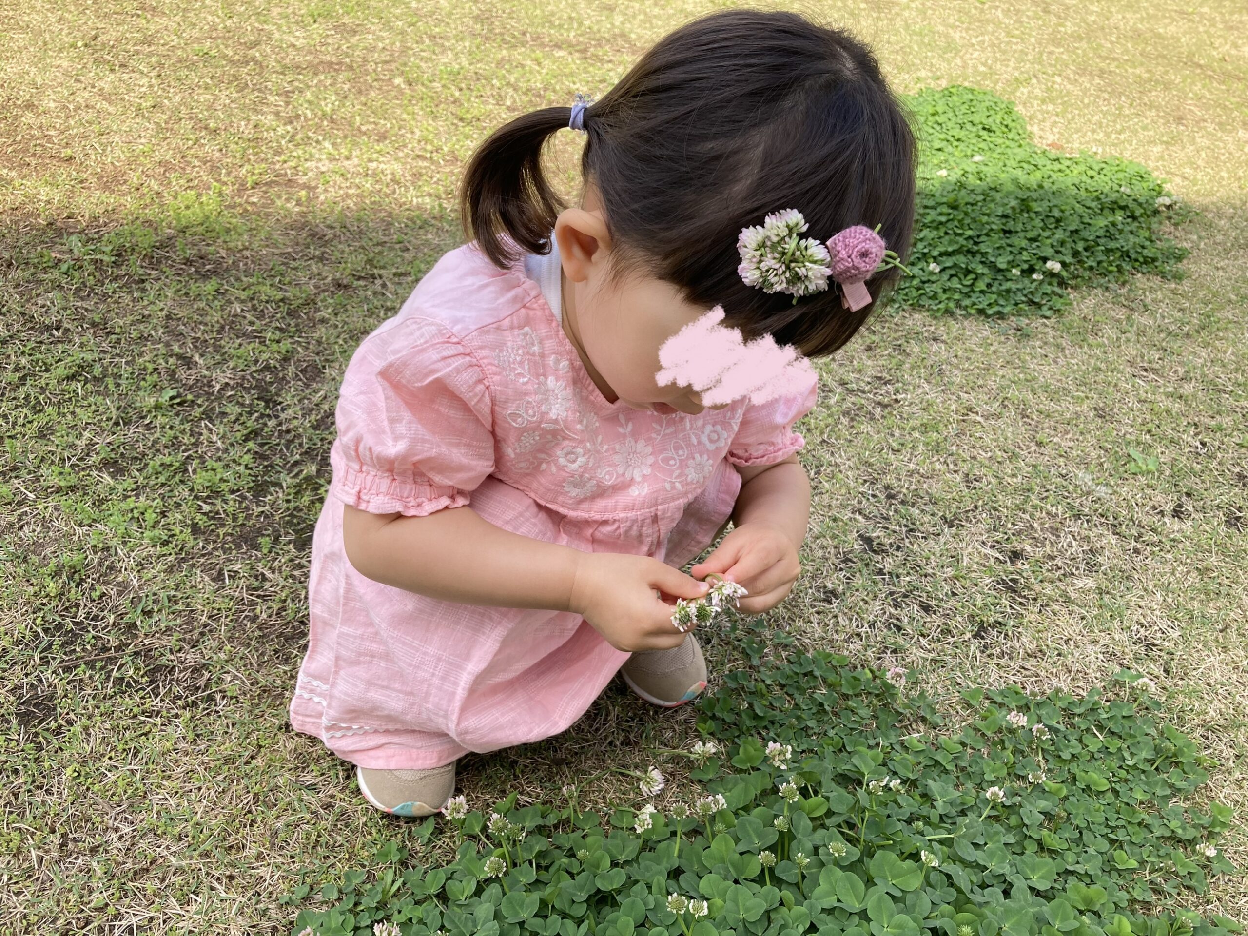 お花を摘む2歳児