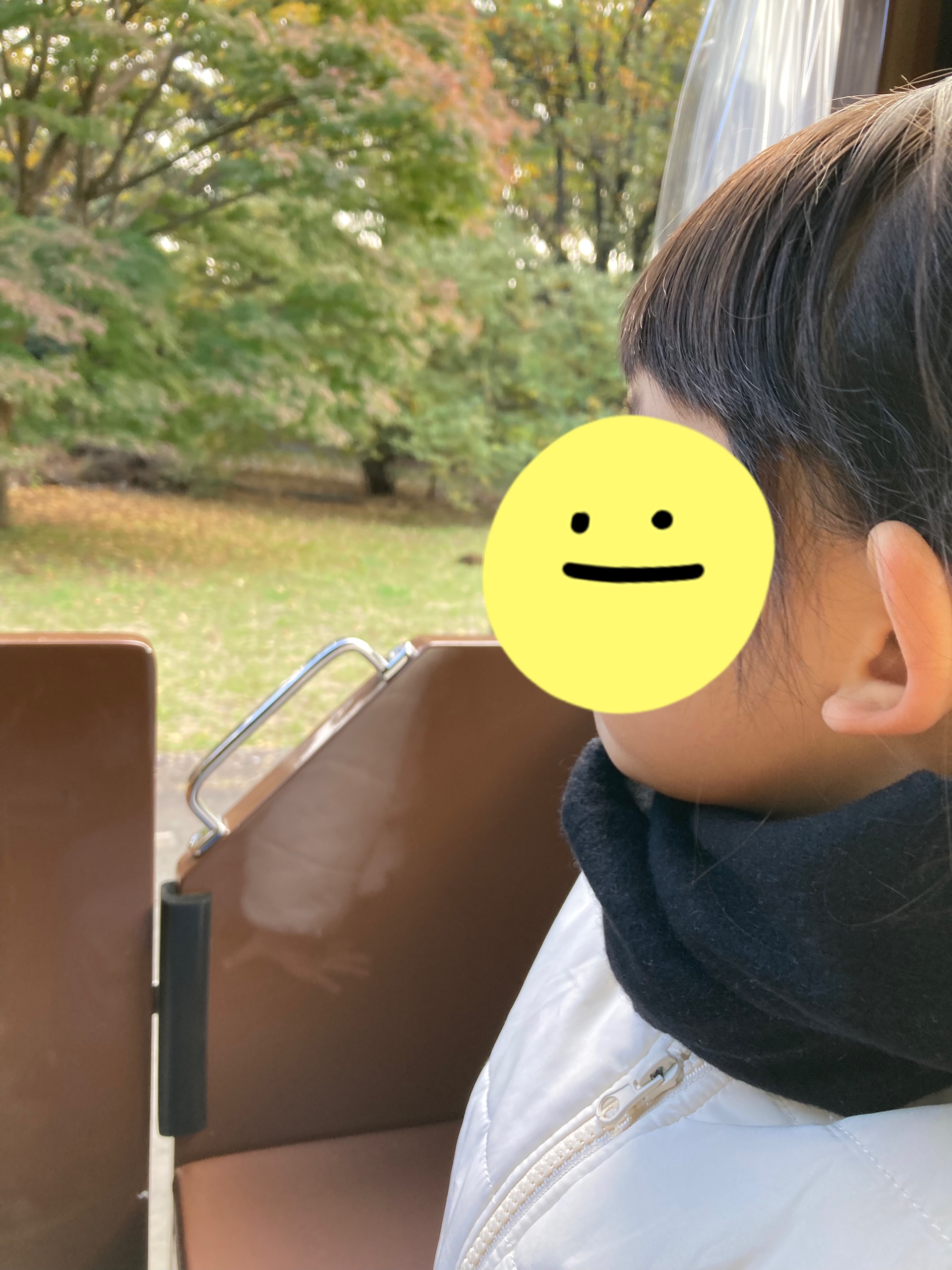 パークトレイン