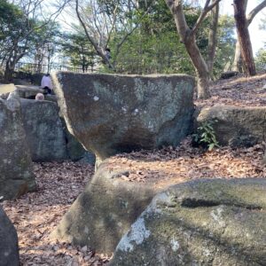 昭和記念公園【石の谷】