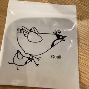 月に一度の矯正