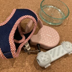 犬のお迎え